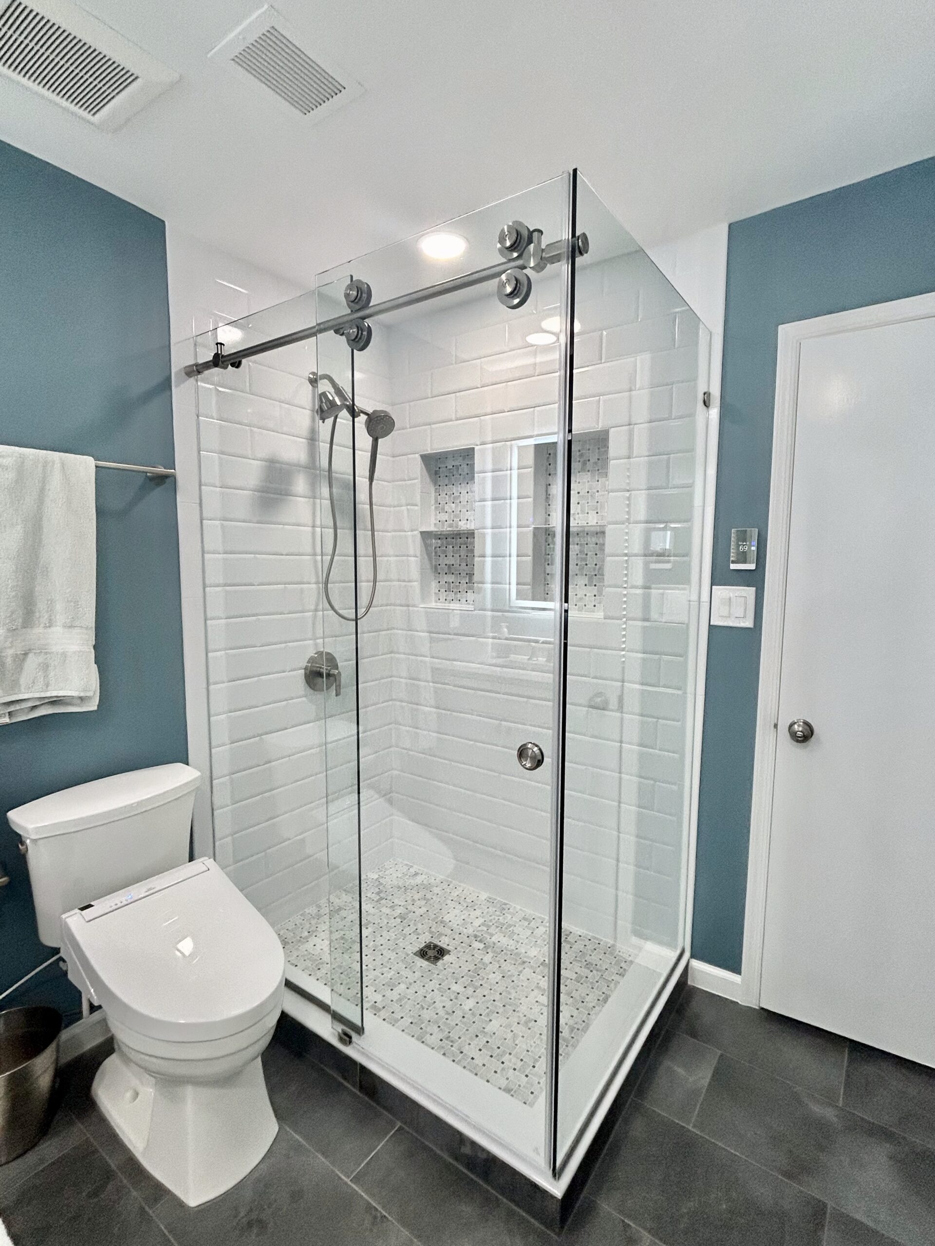 Frameless Shower Door